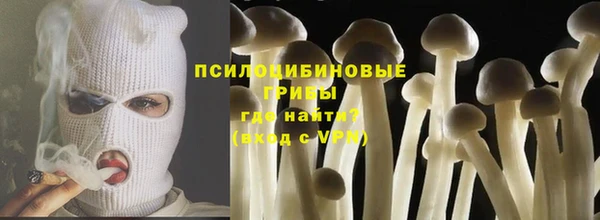 прущая мука Армянск