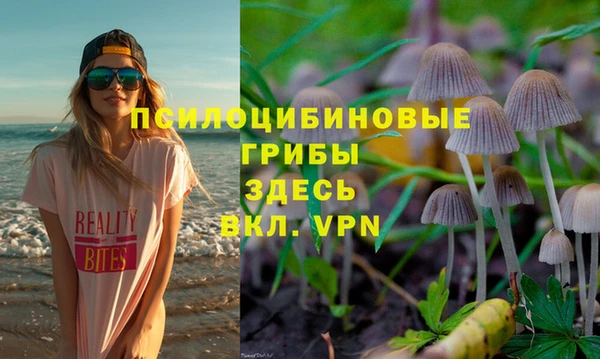 хмурый Алексин